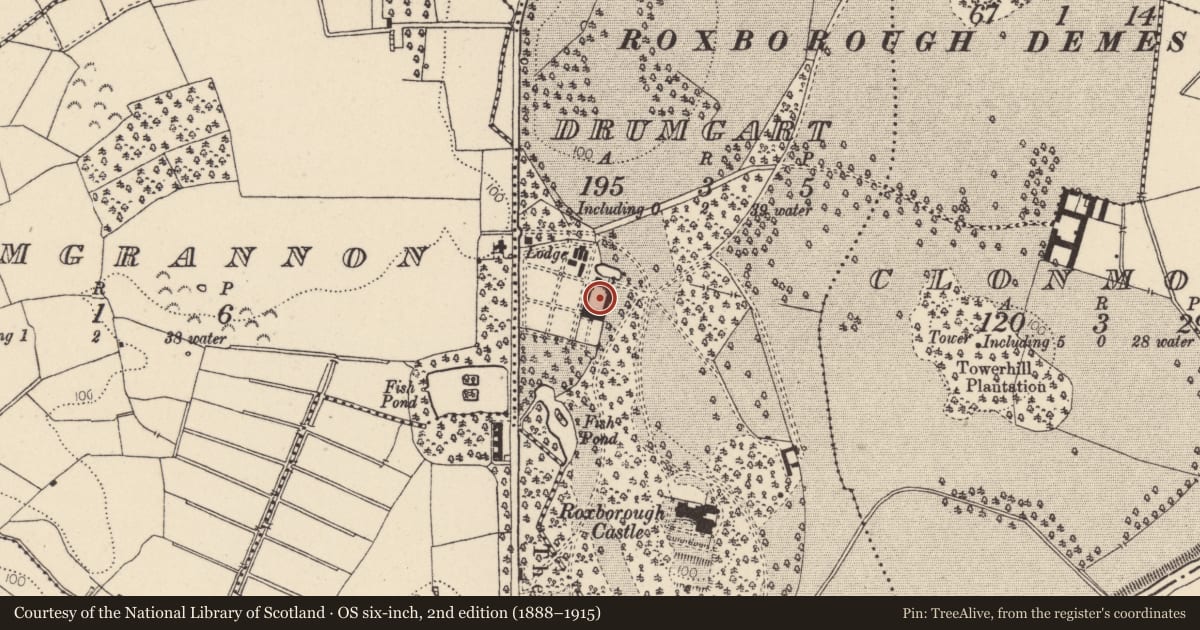 Ordnance Survey six-inch map, 2nd edition (1888–1915) covering the location of Old Stable Yard, Mid Ulster, with a pin at the register's coordinates