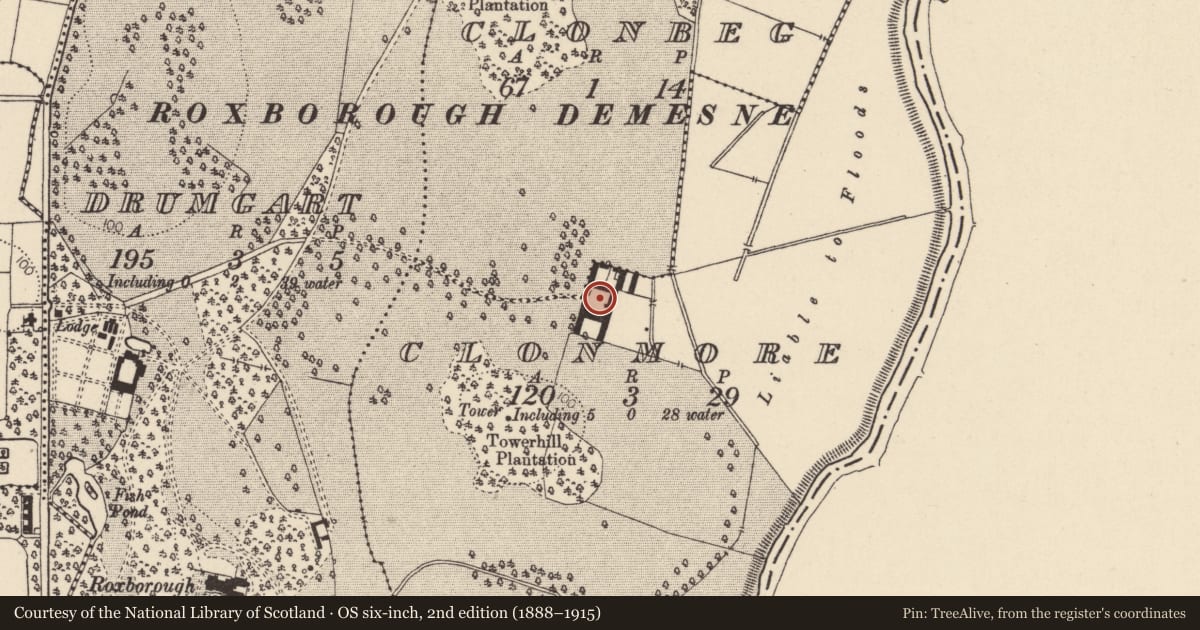 Ordnance Survey six-inch map, 2nd edition (1888–1915) covering the location of ROXBOROUGH, Mid Ulster, with a pin at the register's coordinates