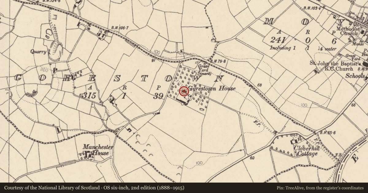 Ordnance Survey six-inch map, 2nd edition (1888–1915) covering the location of Gorestown House, Mid Ulster, with a pin at the register's coordinates