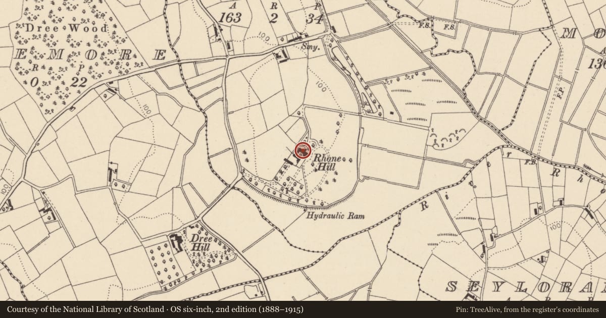 Ordnance Survey six-inch map, 2nd edition (1888–1915) covering the location of Rhone Hill, Mid Ulster, with a pin at the register's coordinates