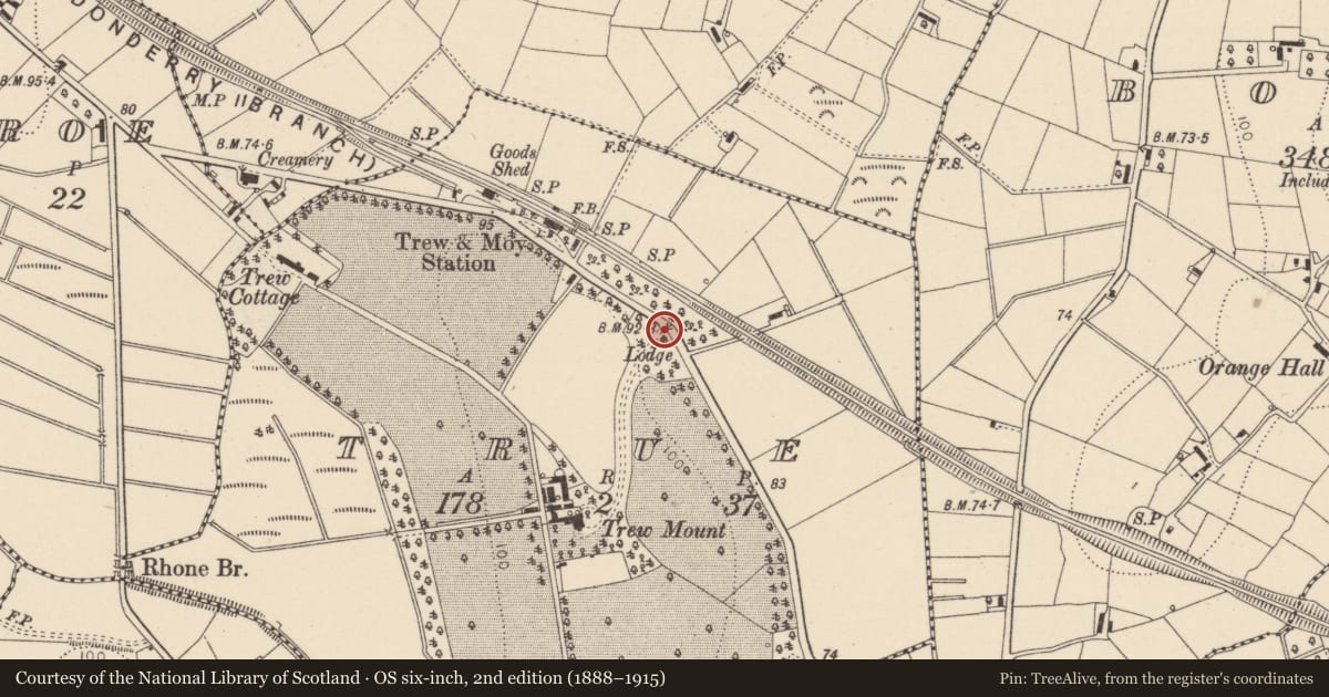 Ordnance Survey six-inch map, 2nd edition (1888–1915) covering the location of 125 Trew Mount Road, Mid Ulster, with a pin at the register's coordinates