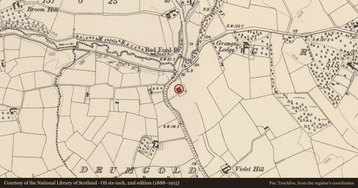 Ordnance Survey six-inch map, 2nd edition (1888–1915) covering the location of BRIDGEHILL, Mid Ulster, with a pin at the register's coordinates