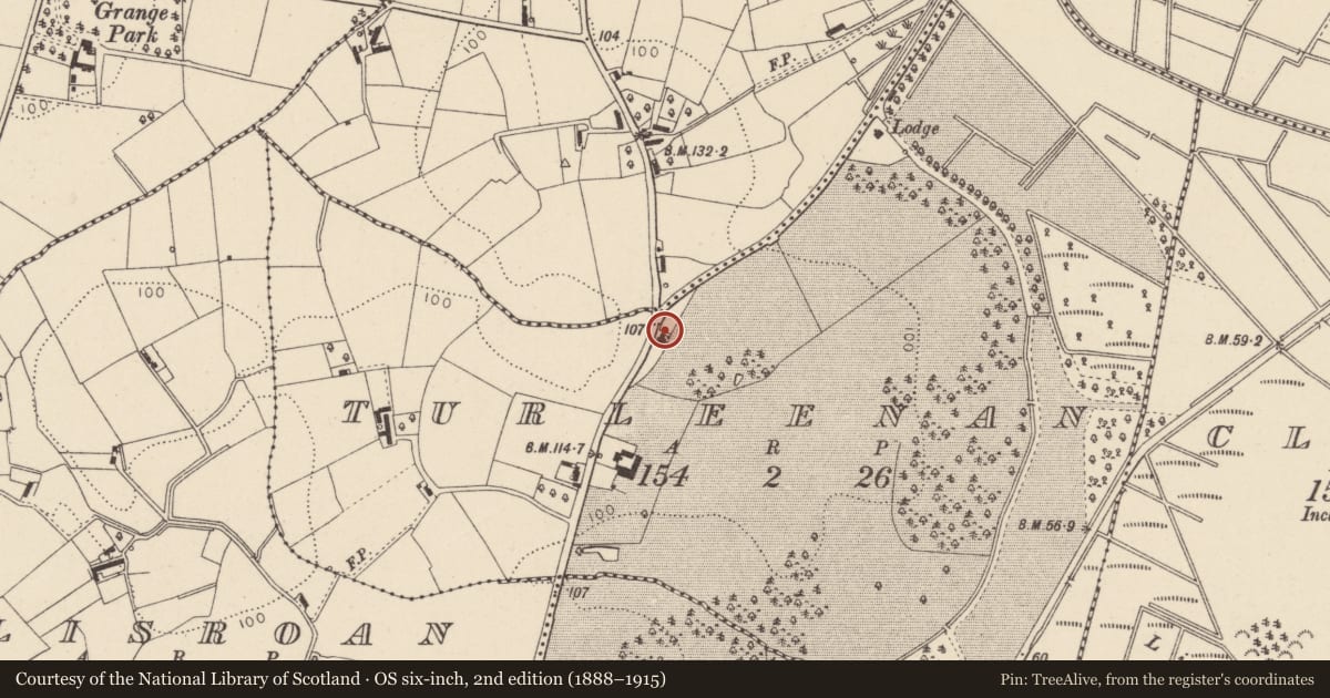 Ordnance Survey six-inch map, 2nd edition (1888–1915) covering the location of 164 Trew Mount Road, Mid Ulster, with a pin at the register's coordinates
