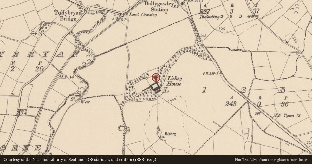 Ordnance Survey six-inch map, 2nd edition (1888–1915) covering the location of Lisbeg House, Mid Ulster, with a pin at the register's coordinates