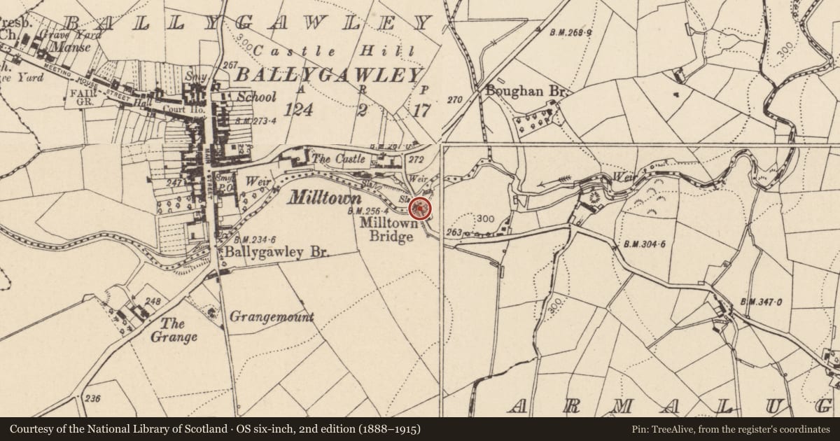 Ordnance Survey six-inch map, 2nd edition (1888–1915) covering the location of Milltown Bridge, Mid Ulster, with a pin at the register's coordinates