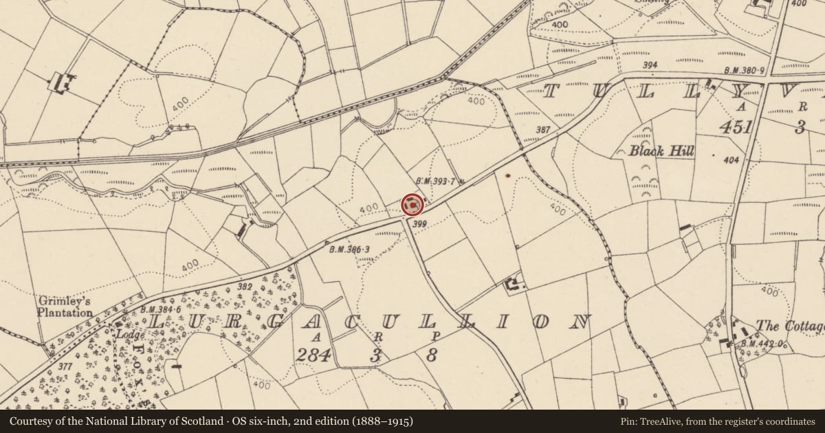Ordnance Survey six-inch map, 2nd edition (1888–1915) covering the location of 176 Dungannon Road, (Home Sweet Home), Mid Ulster, with a pin at the register's coordinates