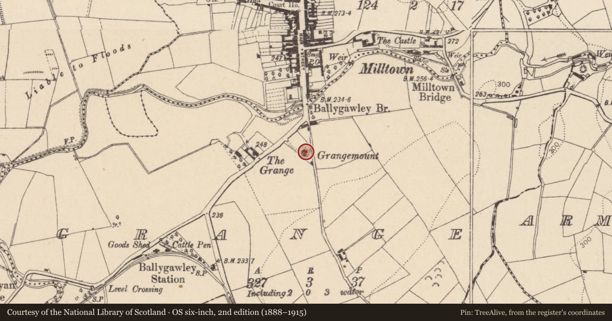 Ordnance Survey six-inch map, 2nd edition (1888–1915) covering the location of GRANGEMOUNT, Mid Ulster, with a pin at the register's coordinates