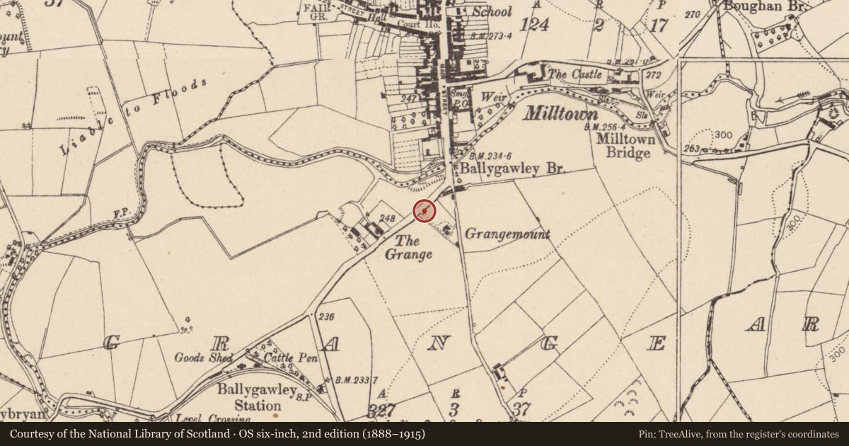 Ordnance Survey six-inch map, 2nd edition (1888–1915) covering the location of Gates And Railings Of Grangemount, Mid Ulster, with a pin at the register's coordinates