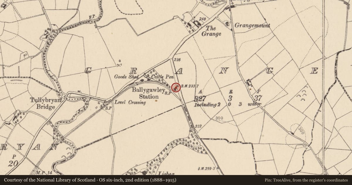 Ordnance Survey six-inch map, 2nd edition (1888–1915) covering the location of 205 Tullyvar Road, Mid Ulster, with a pin at the register's coordinates