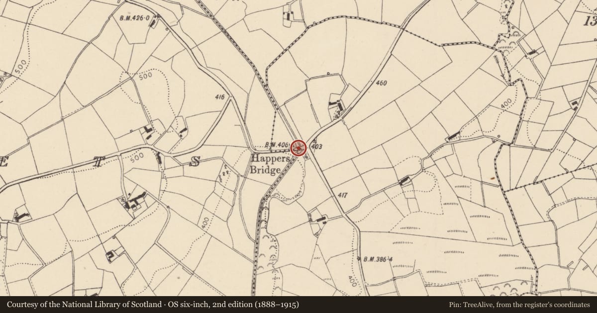 Ordnance Survey six-inch map, 2nd edition (1888–1915) covering the location of Happers Bridge, Mid Ulster, with a pin at the register's coordinates