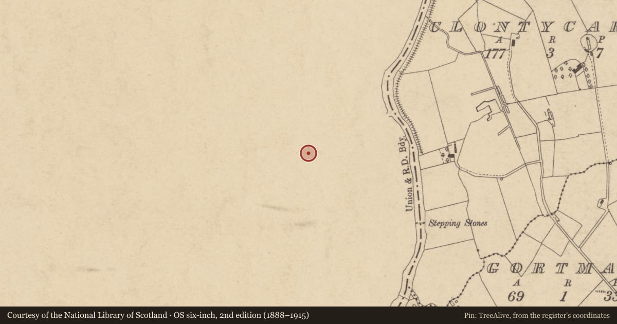 Ordnance Survey six-inch map, 2nd edition (1888–1915) covering the location of 3 Bank Terrace, Mid Ulster, with a pin at the register's coordinates
