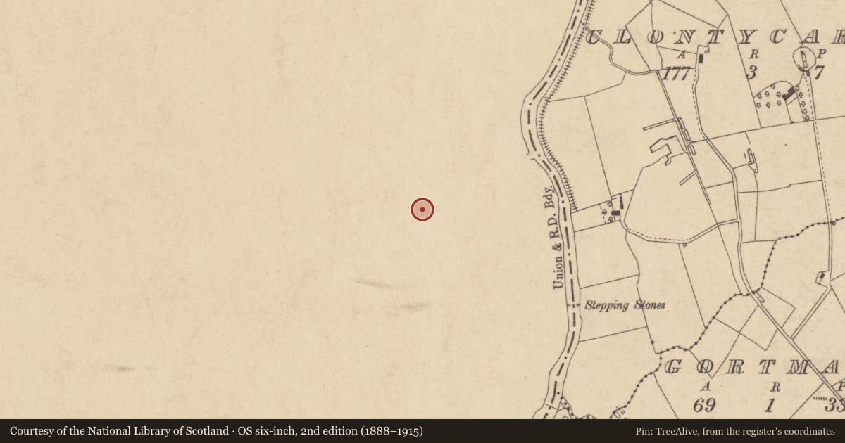 Ordnance Survey six-inch map, 2nd edition (1888–1915) covering the location of 6 Bank Terrace, Mid Ulster, with a pin at the register's coordinates