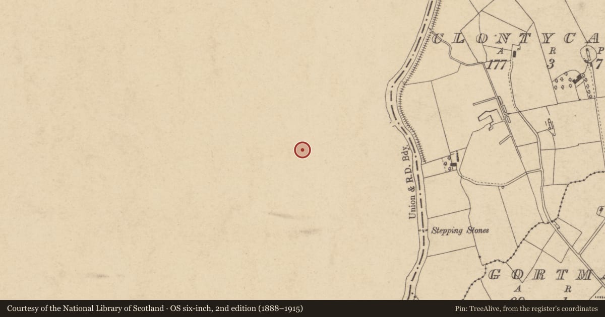 Ordnance Survey six-inch map, 2nd edition (1888–1915) covering the location of 1 Estate Terrace, Mid Ulster, with a pin at the register's coordinates