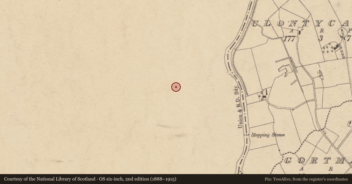 Ordnance Survey six-inch map, 2nd edition (1888–1915) covering the location of 2 Estate Terrace, Mid Ulster, with a pin at the register's coordinates