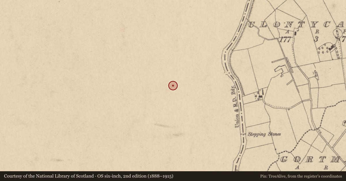Ordnance Survey six-inch map, 2nd edition (1888–1915) covering the location of 3 Estate Terrace, Mid Ulster, with a pin at the register's coordinates
