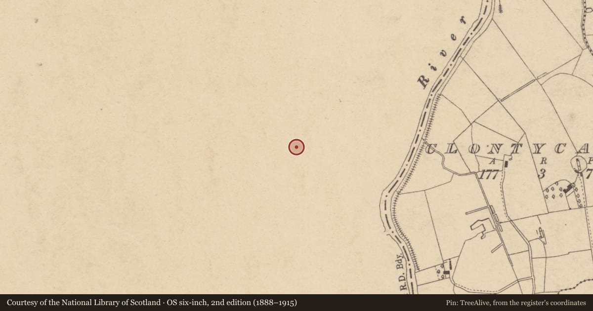 Ordnance Survey six-inch map, 2nd edition (1888–1915) covering the location of St. John'S Church, Mid Ulster, with a pin at the register's coordinates