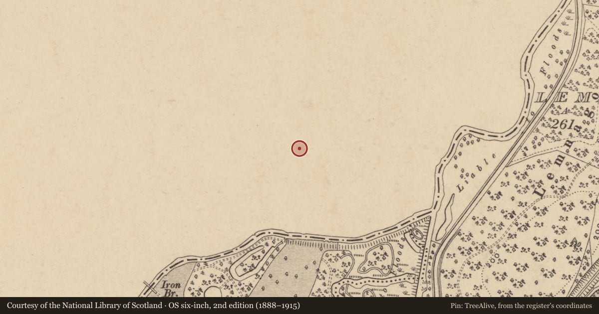 Ordnance Survey six-inch map, 2nd edition (1888–1915) covering the location of Caledon House, Mid Ulster, with a pin at the register's coordinates