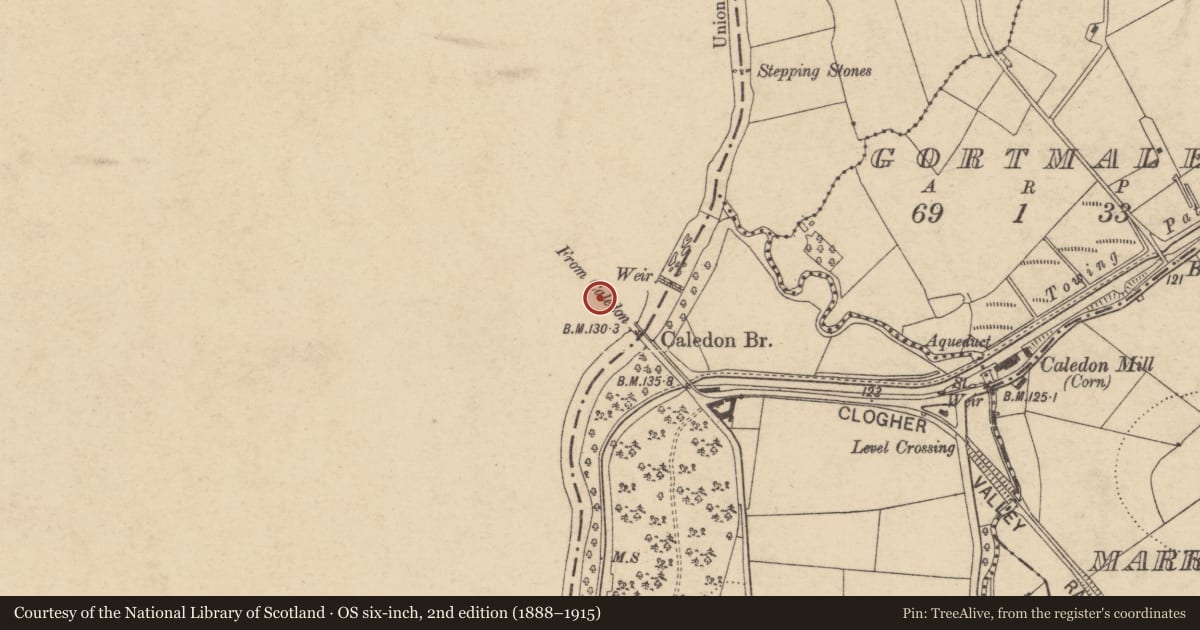 Ordnance Survey six-inch map, 2nd edition (1888–1915) covering the location of Main Gate Lodge, Mid Ulster, with a pin at the register's coordinates