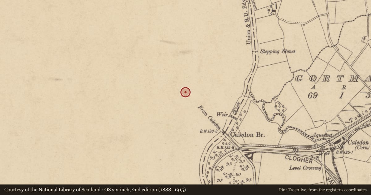 Ordnance Survey six-inch map, 2nd edition (1888–1915) covering the location of Caledon Monument, Mid Ulster, with a pin at the register's coordinates