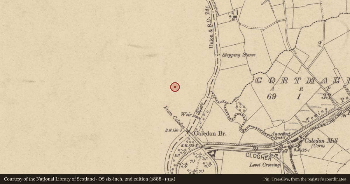 Ordnance Survey six-inch map, 2nd edition (1888–1915) covering the location of Gate Screen, Mid Ulster, with a pin at the register's coordinates