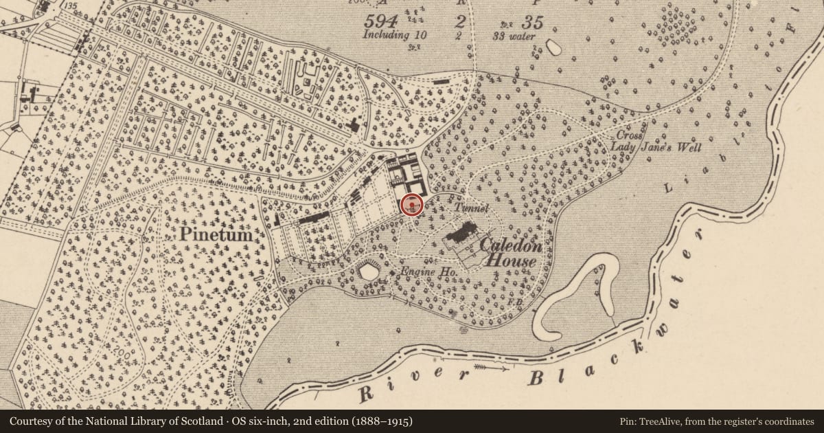 Ordnance Survey six-inch map, 2nd edition (1888–1915) covering the location of Gateway To Forecourt, Mid Ulster, with a pin at the register's coordinates