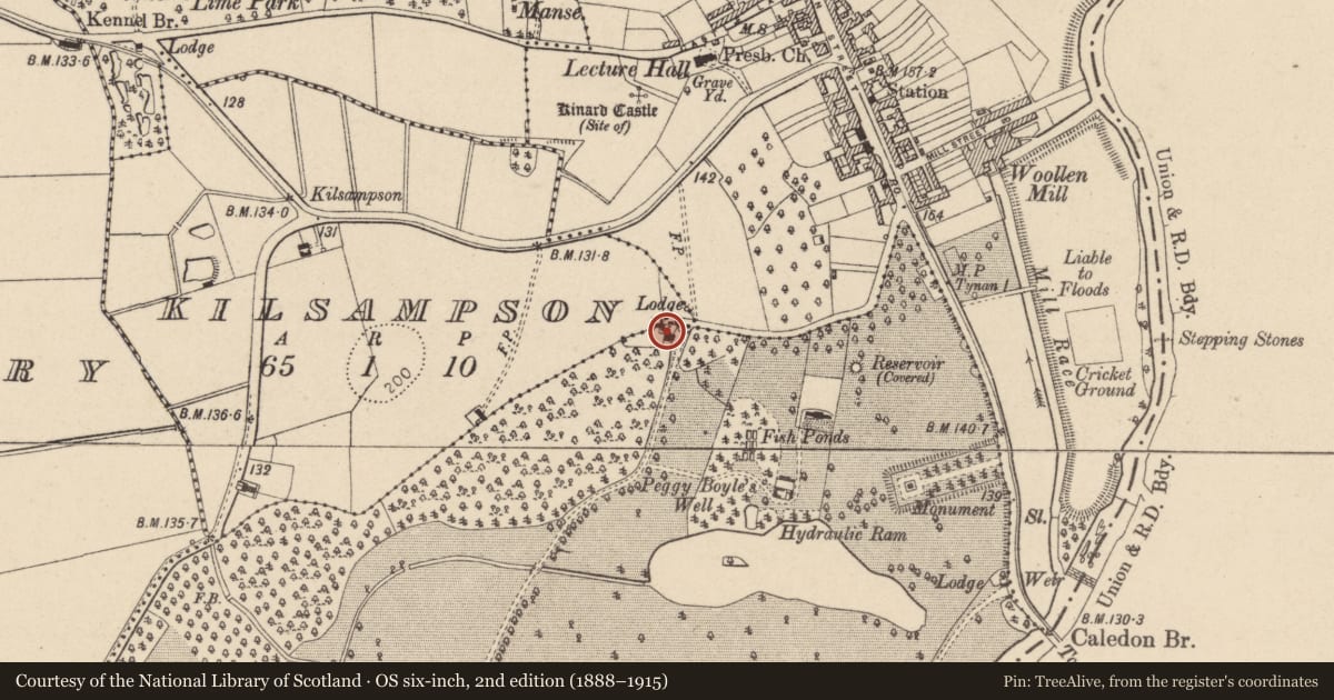 Ordnance Survey six-inch map, 2nd edition (1888–1915) covering the location of North Gate Lodge, Mid Ulster, with a pin at the register's coordinates