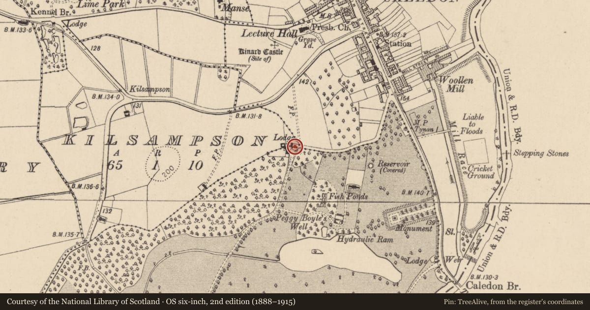 Ordnance Survey six-inch map, 2nd edition (1888–1915) covering the location of North Entrance Gates, Mid Ulster, with a pin at the register's coordinates