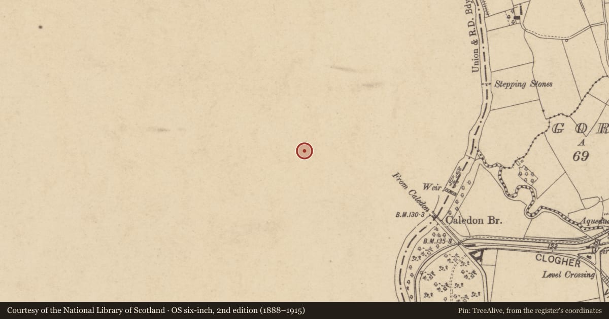 Ordnance Survey six-inch map, 2nd edition (1888–1915) covering the location of Peggy Boyle'S Well, Mid Ulster, with a pin at the register's coordinates