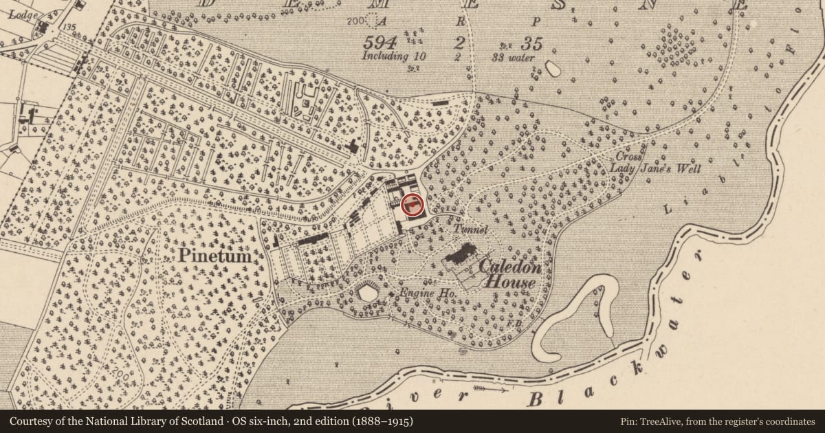 Ordnance Survey six-inch map, 2nd edition (1888–1915) covering the location of Stable Yard Building, Mid Ulster, with a pin at the register's coordinates