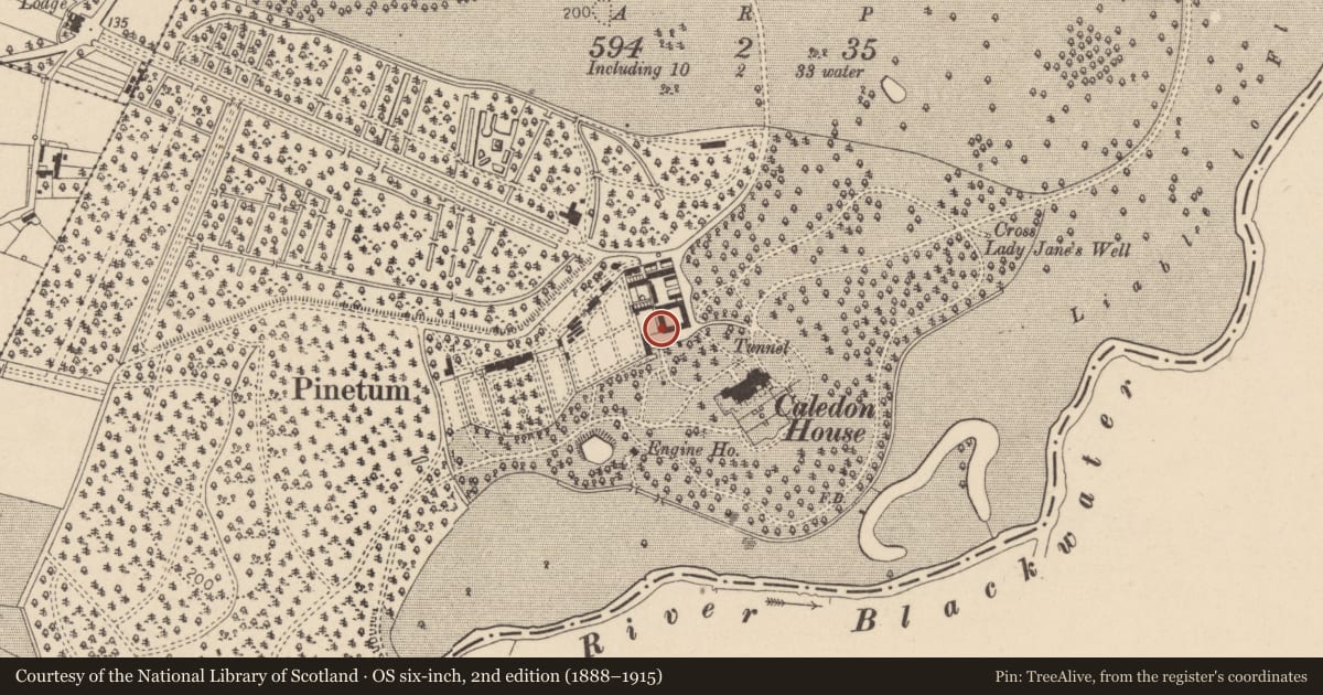 Ordnance Survey six-inch map, 2nd edition (1888–1915) covering the location of Horse-Shoe Opening Adjoining Coachyard, Mid Ulster, with a pin at the register's coordinates