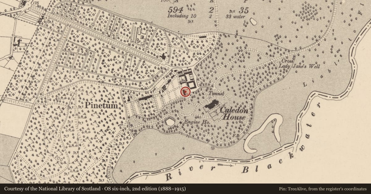 Ordnance Survey six-inch map, 2nd edition (1888–1915) covering the location of Dowager Cottage, Mid Ulster, with a pin at the register's coordinates