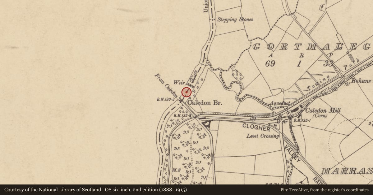 Ordnance Survey six-inch map, 2nd edition (1888–1915) covering the location of Caledon Bridge, Armagh City, Banbridge and Craigavon, with a pin at the register's coordinates