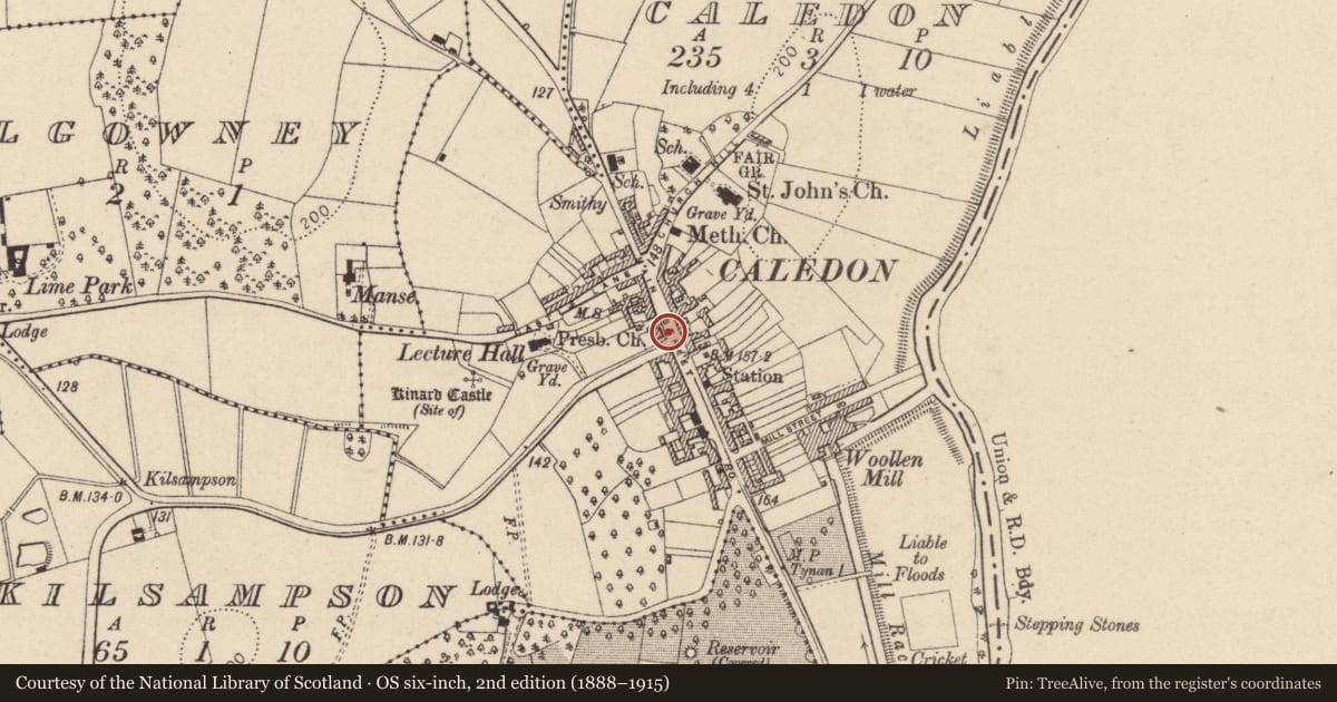 Ordnance Survey six-inch map, 2nd edition (1888–1915) covering the location of Caledon Fountain, Mid Ulster, with a pin at the register's coordinates