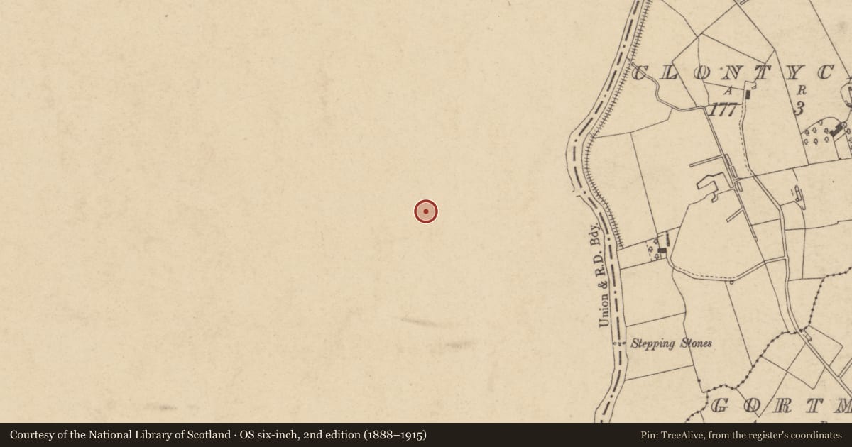 Ordnance Survey six-inch map, 2nd edition (1888–1915) covering the location of Court House, Mid Ulster, with a pin at the register's coordinates
