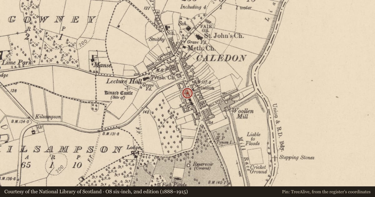 Ordnance Survey six-inch map, 2nd edition (1888–1915) covering the location of The Caledon Arms, Mid Ulster, with a pin at the register's coordinates