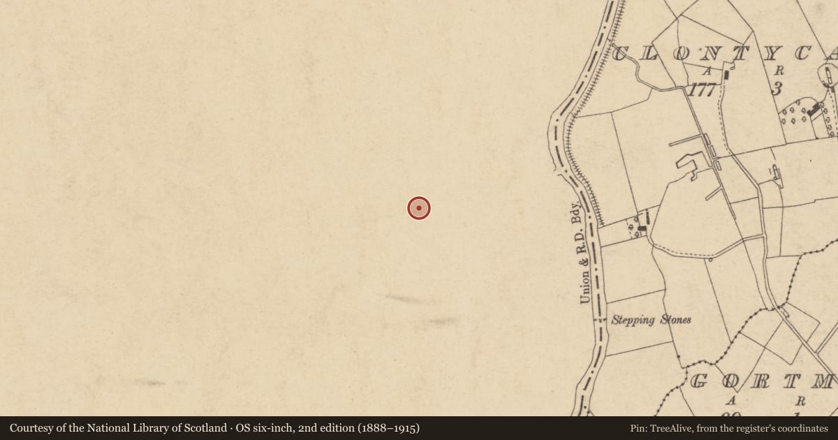 Ordnance Survey six-inch map, 2nd edition (1888–1915) covering the location of Service section of Alexander House, Main Street, Caledon, Co Tyron BT68 4TZ, Kinnard, Mid Ulster, with a pin at the register's coordinates