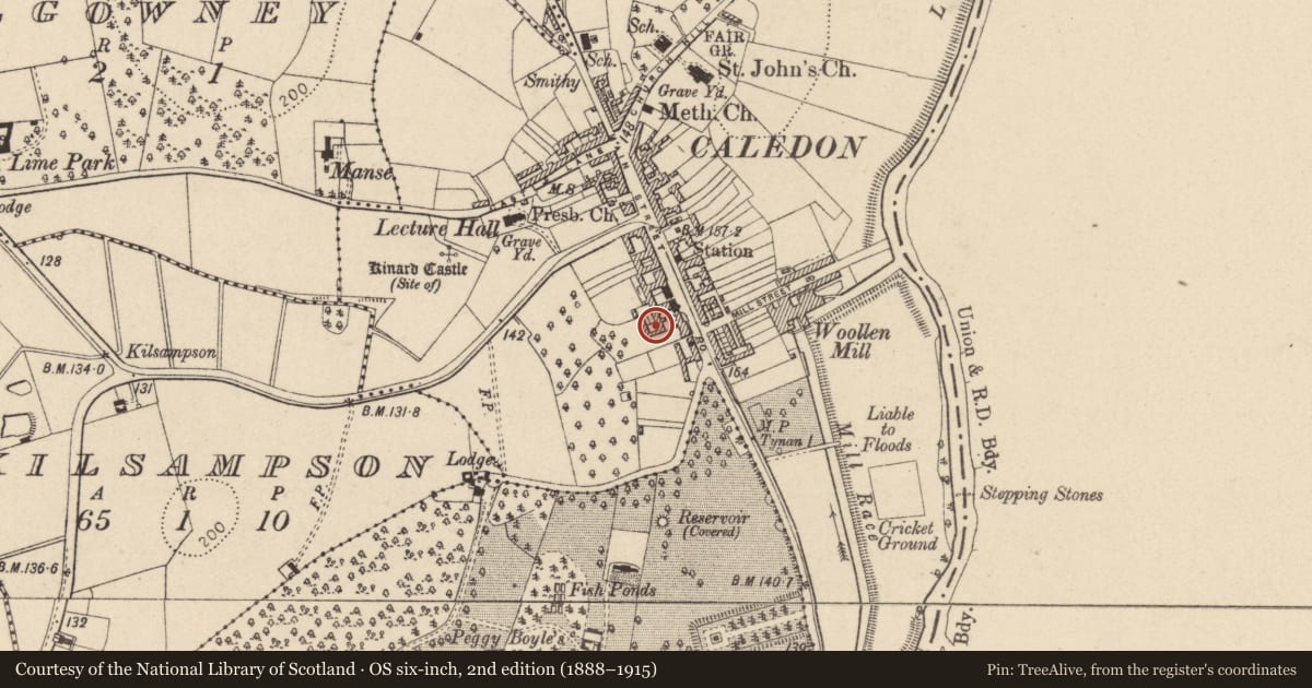 Ordnance Survey six-inch map, 2nd edition (1888–1915) covering the location of Outbuilding complex to rear of Alexander House, Kinnard, Mid Ulster, with a pin at the register's coordinates