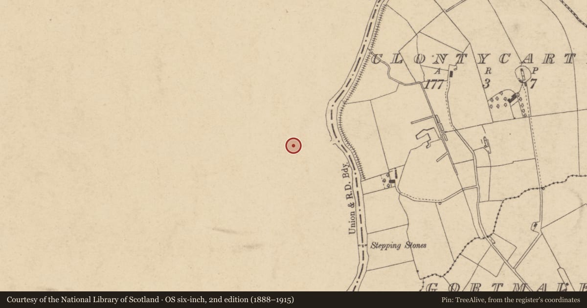 Ordnance Survey six-inch map, 2nd edition (1888–1915) covering the location of 1 Mill Street Terrace, Mid Ulster, with a pin at the register's coordinates