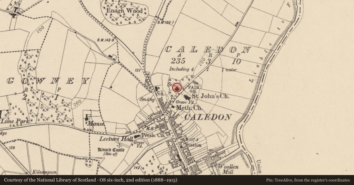 Ordnance Survey six-inch map, 2nd edition (1888–1915) covering the location of Churchill Primary School, Mid Ulster, with a pin at the register's coordinates
