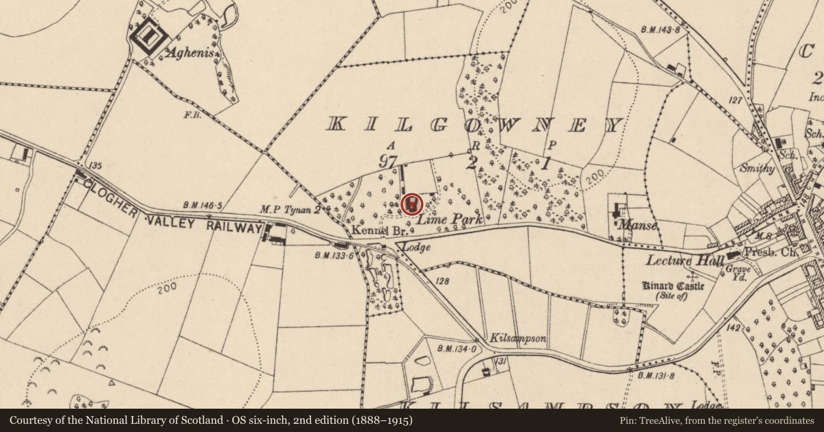 Ordnance Survey six-inch map, 2nd edition (1888–1915) covering the location of Lime Park, Mid Ulster, with a pin at the register's coordinates