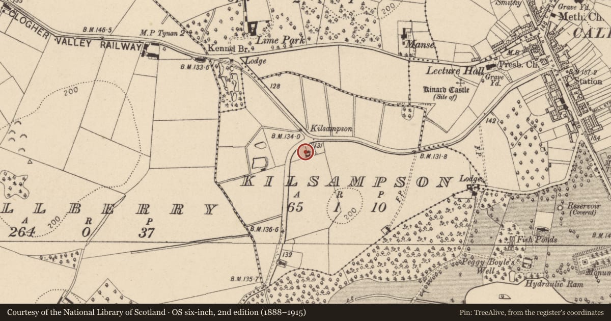 Ordnance Survey six-inch map, 2nd edition (1888–1915) covering the location of 2 Annaghroe Road, Caledon, Co Tyrone, Mid Ulster, with a pin at the register's coordinates