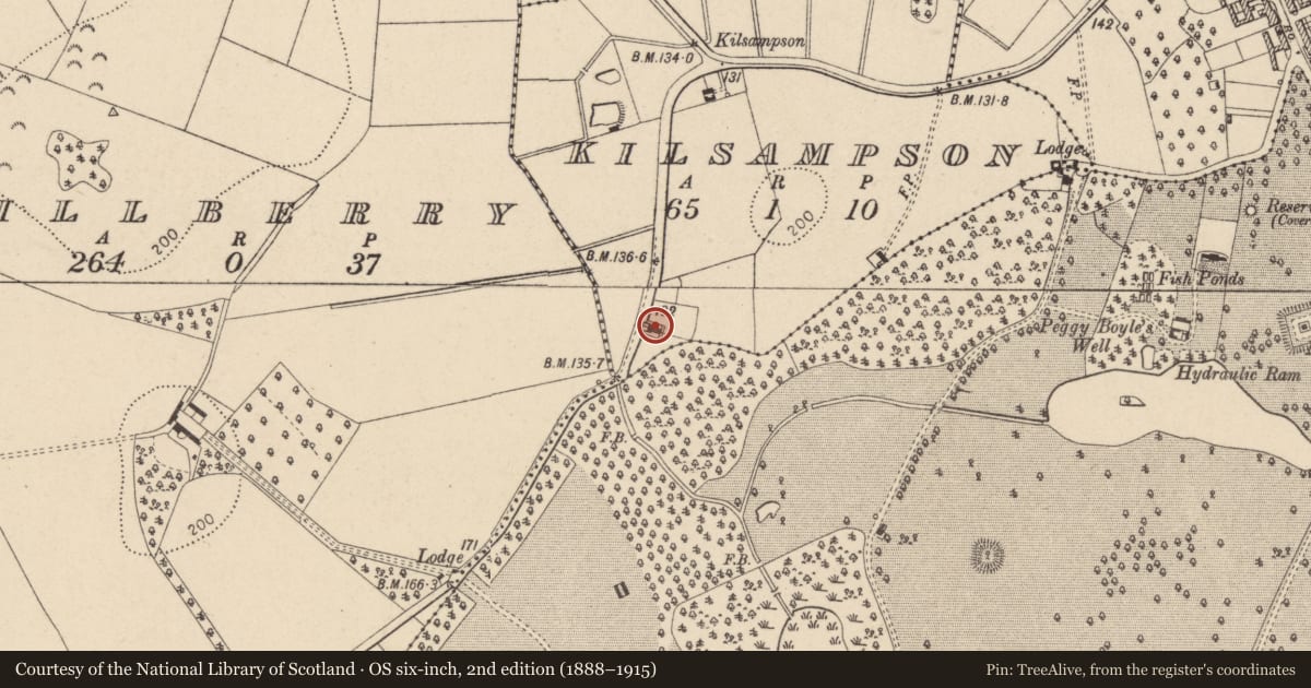 Ordnance Survey six-inch map, 2nd edition (1888–1915) covering the location of 4 Annaghroe Road, Caledon, Co Tyrone, Mid Ulster, with a pin at the register's coordinates