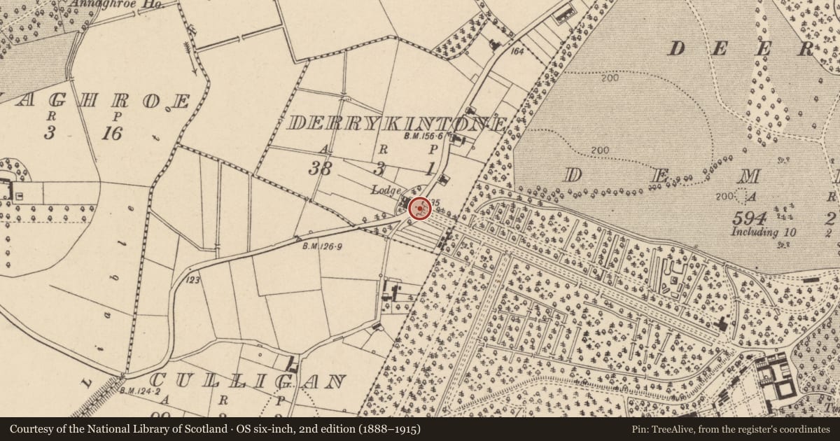 Ordnance Survey six-inch map, 2nd edition (1888–1915) covering the location of Estate Gateway, Mid Ulster, with a pin at the register's coordinates