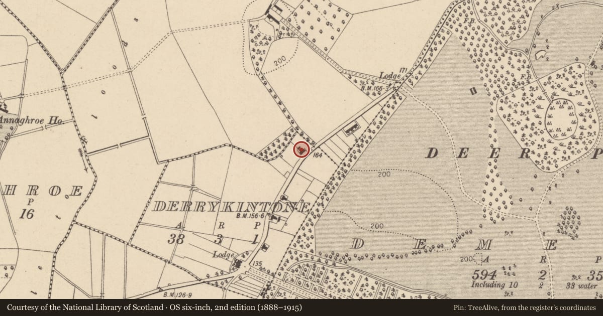 Ordnance Survey six-inch map, 2nd edition (1888–1915) covering the location of 17 Annaghroe Road, Mid Ulster, with a pin at the register's coordinates