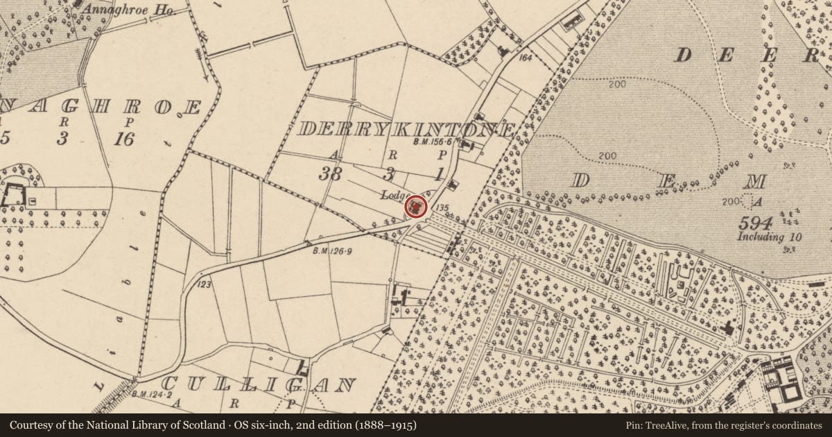 Ordnance Survey six-inch map, 2nd edition (1888–1915) covering the location of 29 Annaghroe Road, Mid Ulster, with a pin at the register's coordinates