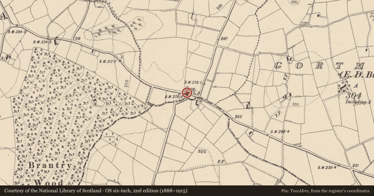 Ordnance Survey six-inch map, 2nd edition (1888–1915) covering the location of 53 Carrycastle Road, Mid Ulster, with a pin at the register's coordinates
