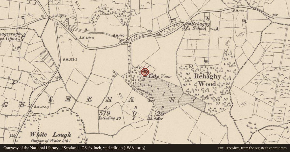 Ordnance Survey six-inch map, 2nd edition (1888–1915) covering the location of Lakeview House, Mid Ulster, with a pin at the register's coordinates