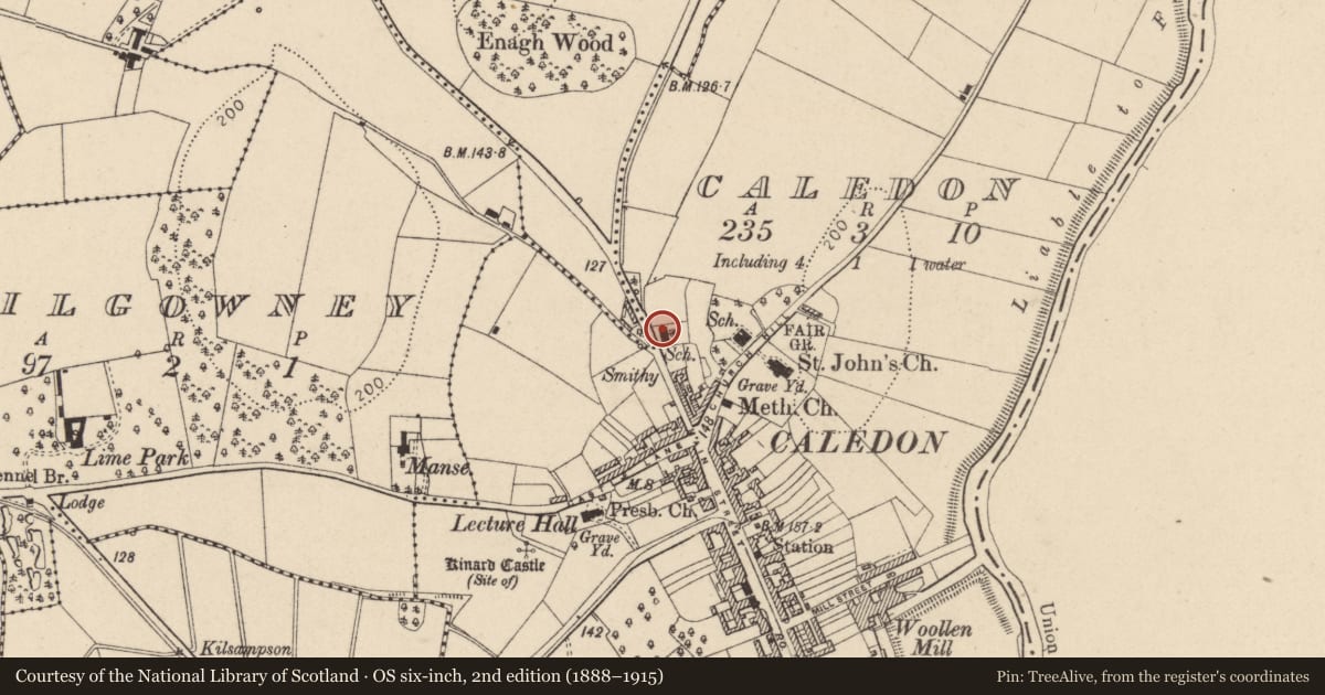 Ordnance Survey six-inch map, 2nd edition (1888–1915) covering the location of Caledon National School, Mid Ulster, with a pin at the register's coordinates