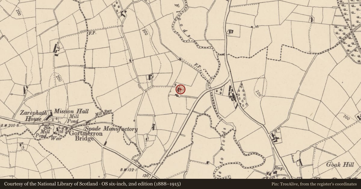 Ordnance Survey six-inch map, 2nd edition (1888–1915) covering the location of 199 Eglish Road, Mid Ulster, with a pin at the register's coordinates