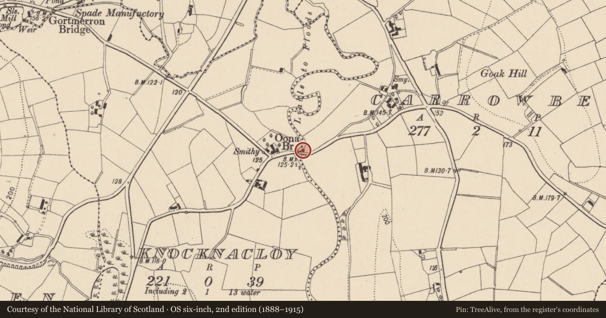 Ordnance Survey six-inch map, 2nd edition (1888–1915) covering the location of Oona River Bridge, Mid Ulster, with a pin at the register's coordinates